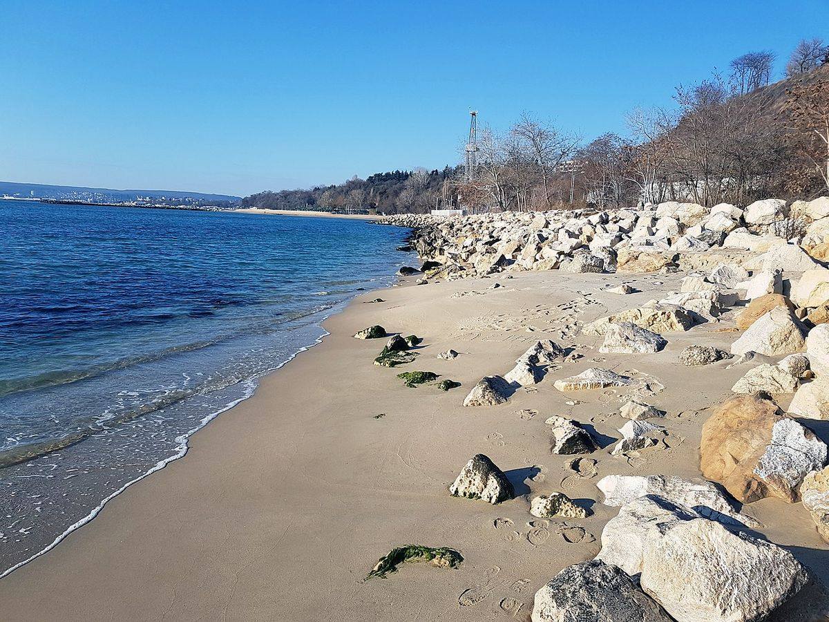The Sea Garden in Varna, a long coastal park stretching along the Black Sea with palm trees, paths and the sea visible beyond